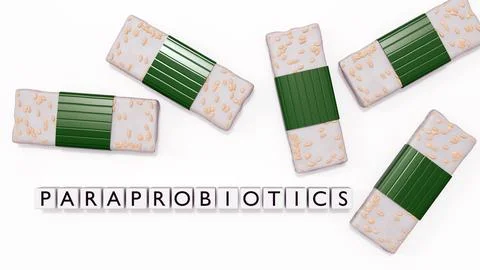 A 3d rendering of tempeh and the word "PARAPROBIOTICS" Illustrazione stock