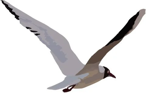 3d rendering of a tern in flight on white background Stock Illustration