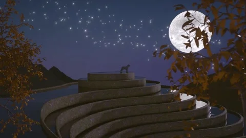 3D rendering terraced fields night Stock Footage 246289461