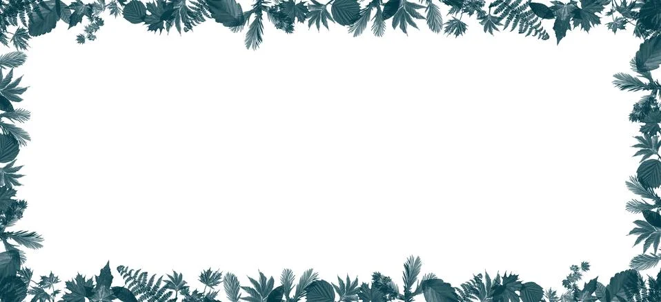 3D rendering of text frame with leaves around For adding text and advertising Illustration