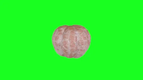3D rendering of a textured pumpkin on a bright green background Stock-Footage 297584545