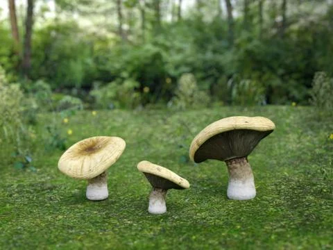 3D rendering of three mushrooms. Stock Illustration