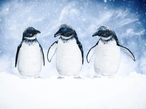 3D rendering of three penguins in snow. Stock Illustration