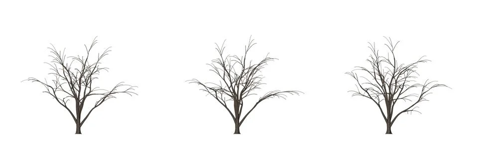 3d rendering of three trees isolated on white Stock Illustration