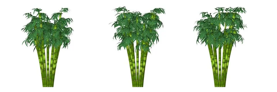 3d rendering of three trees isolated on white Stock Illustration