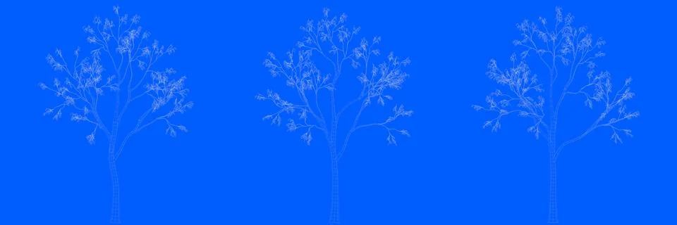 3d rendering of three trees as lines on a blue background Stock Illustration