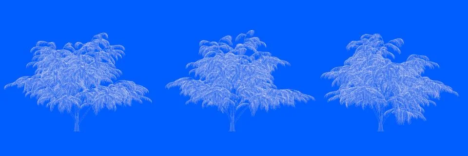 3d rendering of three trees as lines on a blue background Stock Illustration