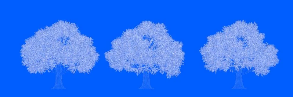 3d rendering of three trees as lines on a blue background Stock Illustration