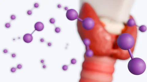 3d rendering of the thyroid gland and purple iodine molecules. Stock Illustration