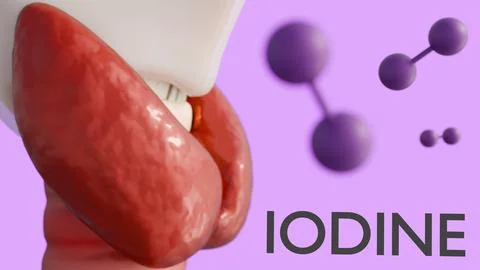 3d rendering of the thyroid gland and purple iodine molecules. Stock Illustration