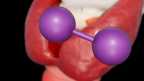 3d rendering of the thyroid gland and purple iodine molecules. Stock Illustration