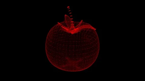 3d rendering tomato wireframe high polymesh Stock Footage 106273127