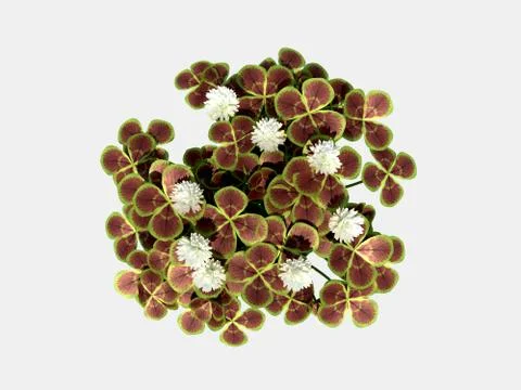 3d rendering of a top view flower with leafs Stock Illustration
