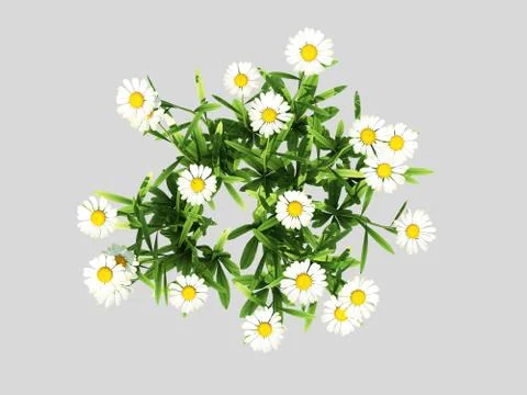 3d rendering of a top view flower with leafs Stock Illustration