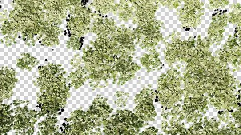 3d rendering top view of leaf Stock Photos