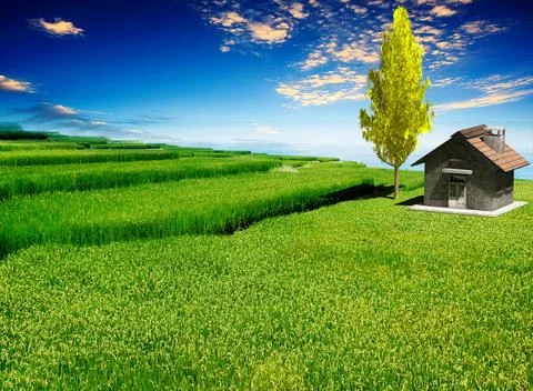 3d rendering of traditional House and Ginko Stock Illustration