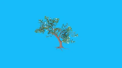 3D rendering of a tree against a blue background 스톡 동영상 303860040