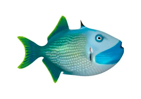 3D Rendering Trigger Fish on White Stock Illustration