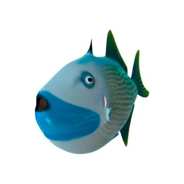 3D Rendering Trigger Fish on White Stock Illustration