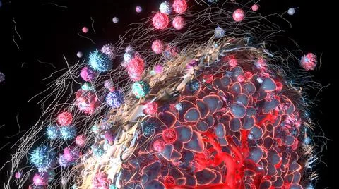 3D Rendering of Tumor Microenvironment Outer Fibroblast Layer Stock Illustration