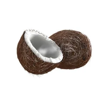 3d rendering of Two coconuts lying side by side on a white background Stock Illustration