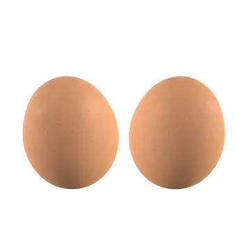 3D rendering of two eggs isolated on a white background Stock Photos
