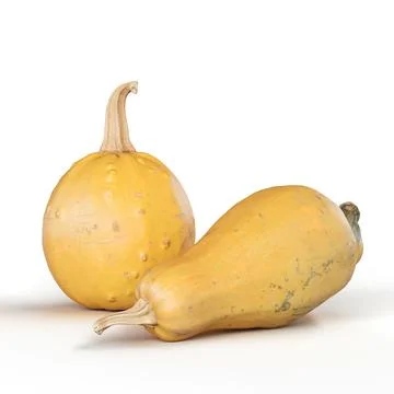 3D rendering of two freshly picked squash lying on a pristine white background. Illustrazione stock