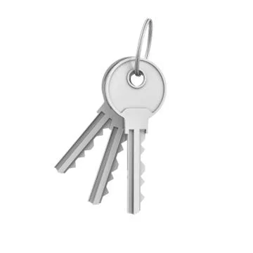 3d rendering of two isolated silver keys on a key ring Stock Illustration