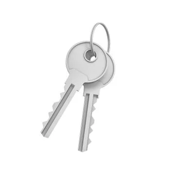 3d rendering of two isolated silver keys on a key ring Stock Illustration