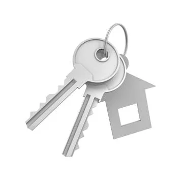 3d rendering of two isolated silver keys on a key ring with label Illustrazione stock