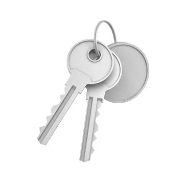 3d rendering of two isolated silver keys on a key ring with a blank round medal Stock-Illustration