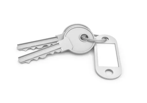 3d rendering of two isolated silver keys on a key ring with a blank label Stock Illustration