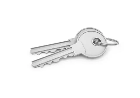 3d rendering of two isolated silver keys on a key ring Stock Illustration
