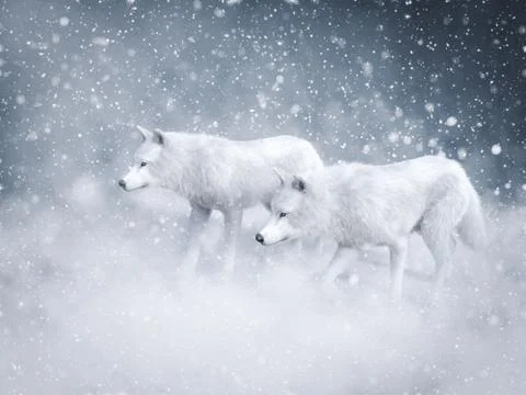 3D rendering of two majestic white wolfs in snow. Stock Illustration