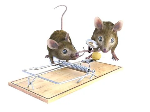 Mousetrap Isolated Mouse Trap Rodent Snare Vector Illustration