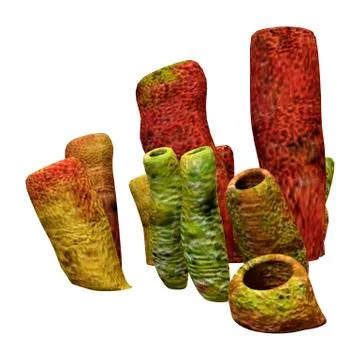 3D Rendering Underwater Sponge Tubes on White Stock Illustration