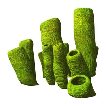 3D Rendering Underwater Sponge Tubes on White Stock Illustration