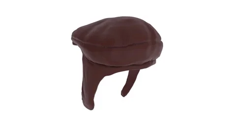 3D rendering of a unique brown hat design on a plain background Stock Footage 285060166