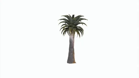 3D rendering of a unique, stylized palm tree design Stock Footage 303594611