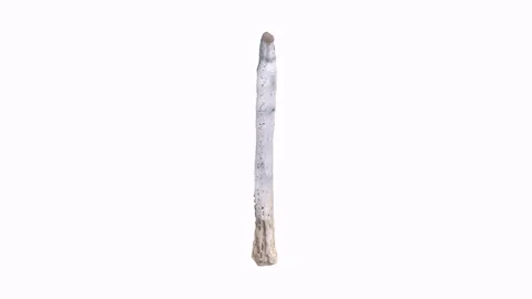 3D rendering of a unique wooden stick with natural texture and shape Stock Footage 297584411