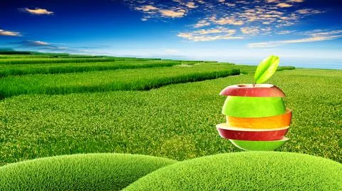 3d rendering of various type of fruit slices stacked Stock Illustration