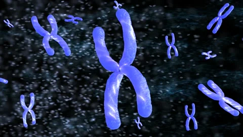 3d rendering violet chromosome x through microscope 4k footage Stock Footage 313467081