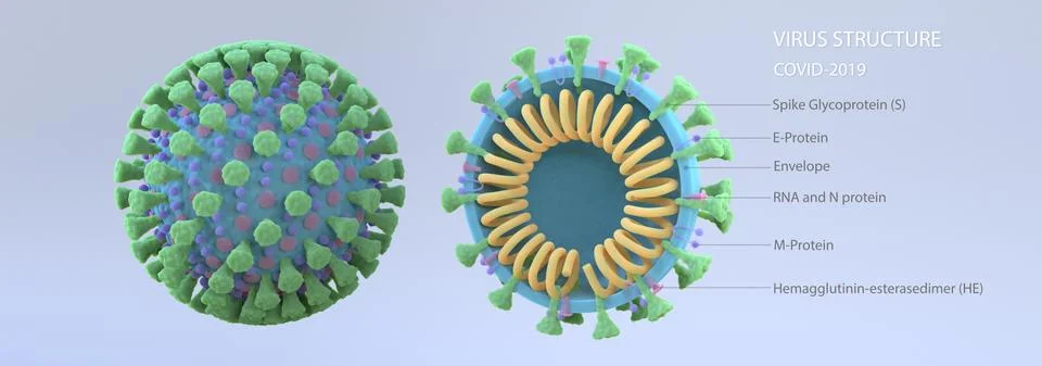 3d rendering of virus structure. Stock Illustration