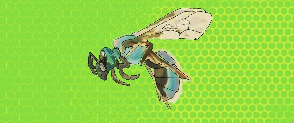 3d rendering of a wasp on a green chroma key Illustrazione stock