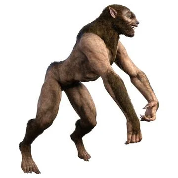3D Rendering Werewolf on White Stock Illustration