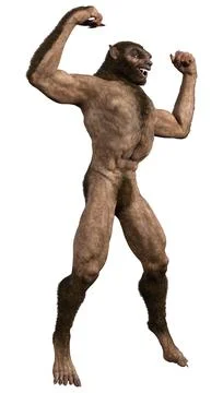 3D Rendering Werewolf on White Stock Illustration