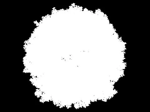 3d rendering of a white abstract tree on a black background Stock Illustration