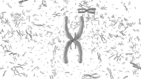 3d rendering white chromosome x through microscope 4k footage Stock Footage 313467083