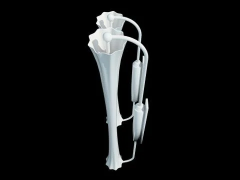 3d rendering of a white lamp pendant isolated on a black background Stock Illustration