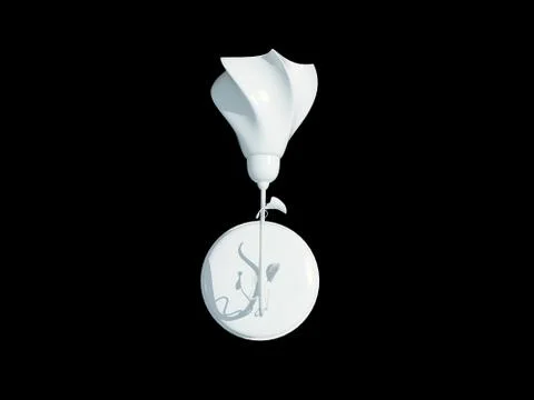 3d rendering of a white lamp pendant isolated on a black background Stock Illustration